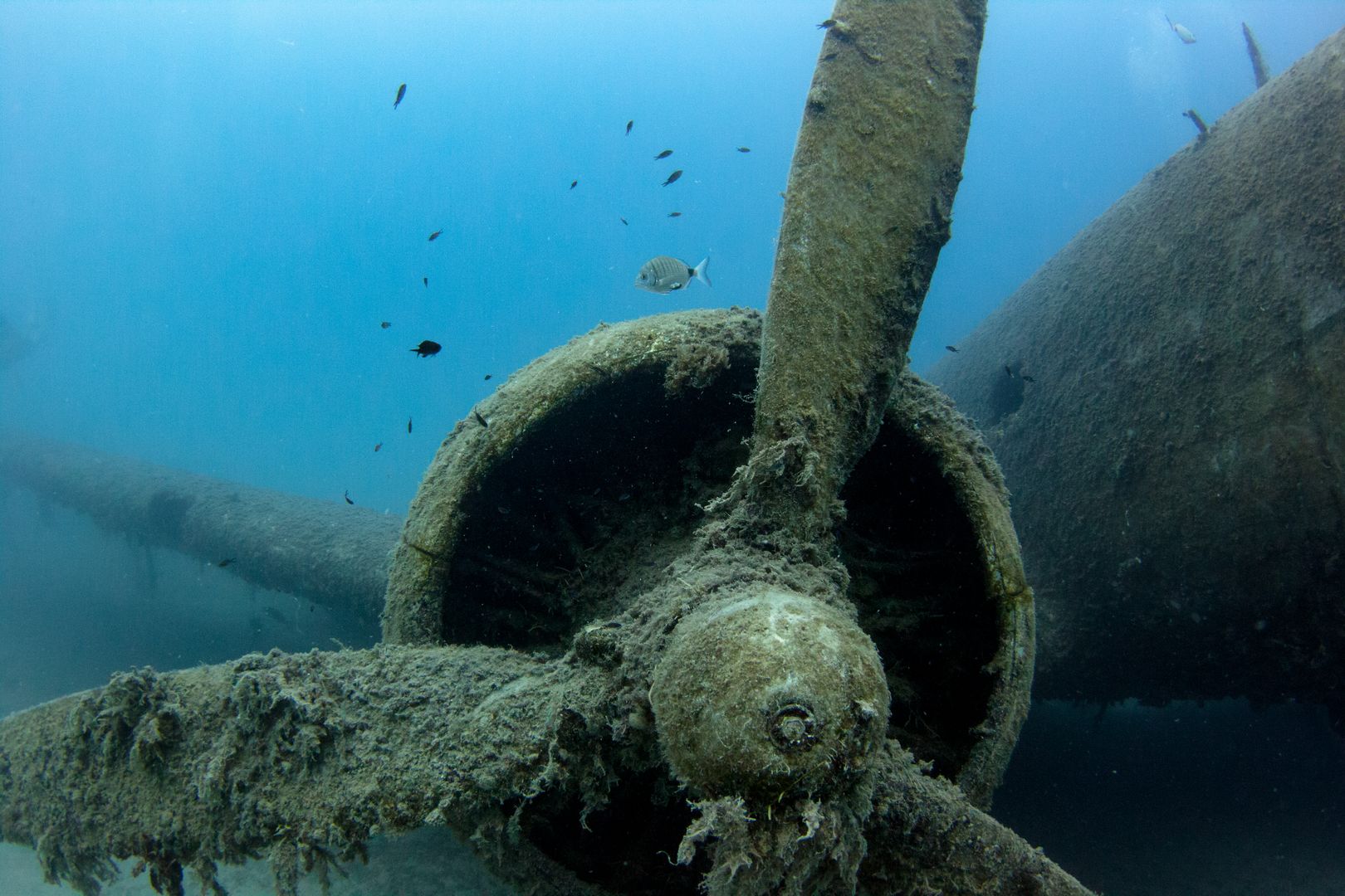 A propeller of a wrecked plane