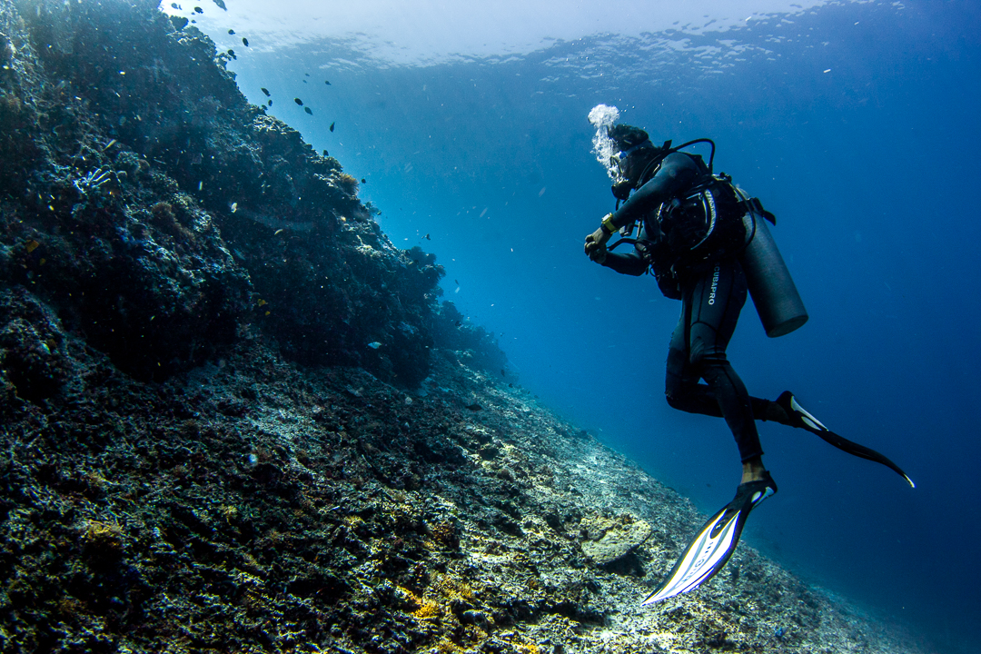 A diver observing corals on a gentle slope